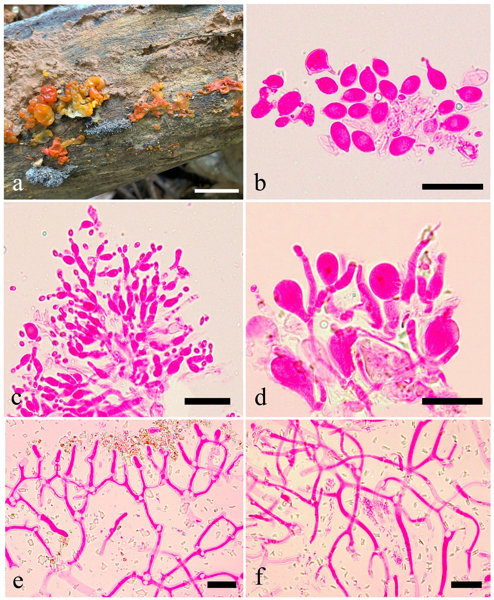 Figure 70